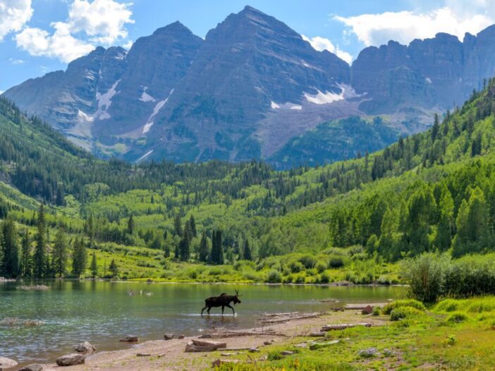Colorado Wedding